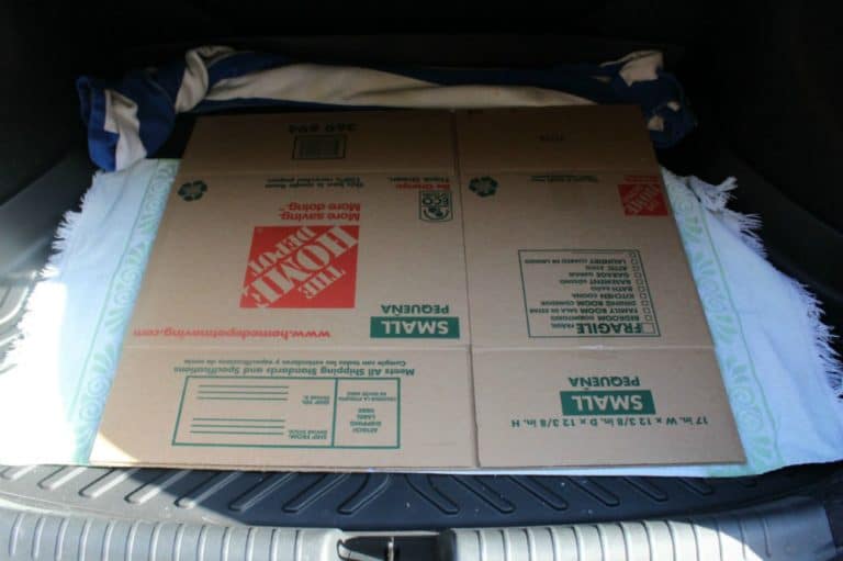 How to Transport a Cake in a Car I Scream for Buttercream