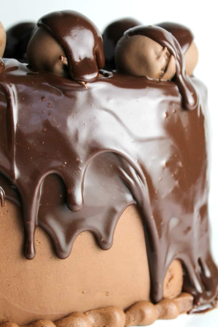 Chocolate Heart Cake side view with drippy chocolate ganache