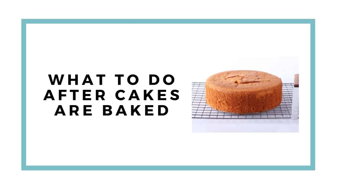 The baking trials: What's the best way to prep your cake pan to prevent  sticking?