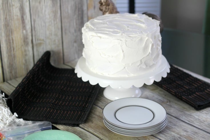 Practical Tips for Photographing Cakes Plus Editing - I Scream for  Buttercream