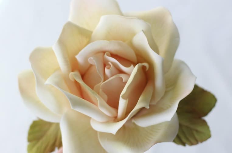 Large Gumpaste Rose