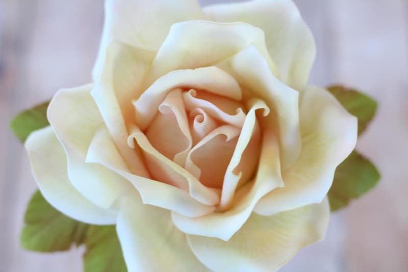 Large Gumpaste Rose