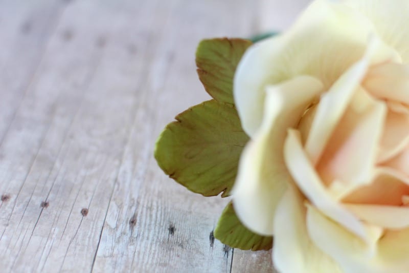 Gumpaste Rose Leaves