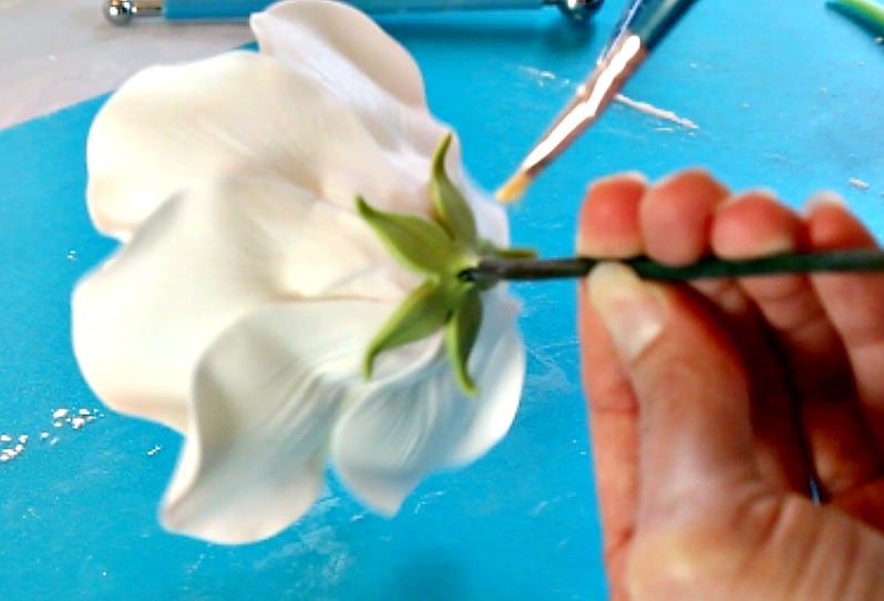 Making and Coloring Gumpaste Rose Leaves