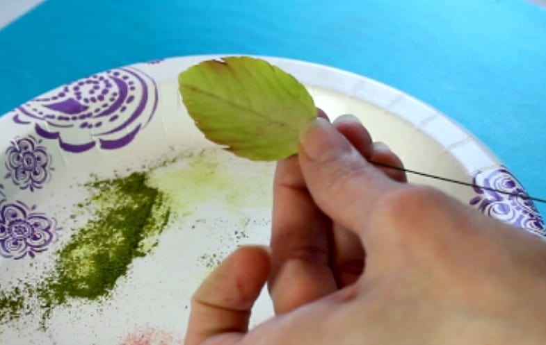 dusted gumpaste rose leaf