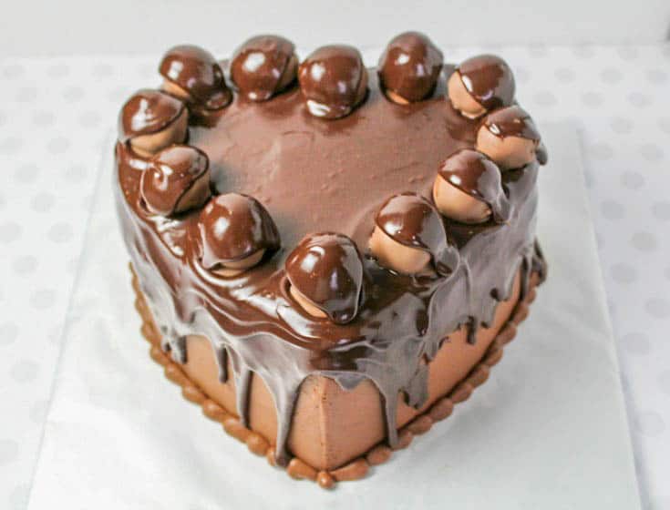 Chocolate Heart Cake Ball Cake