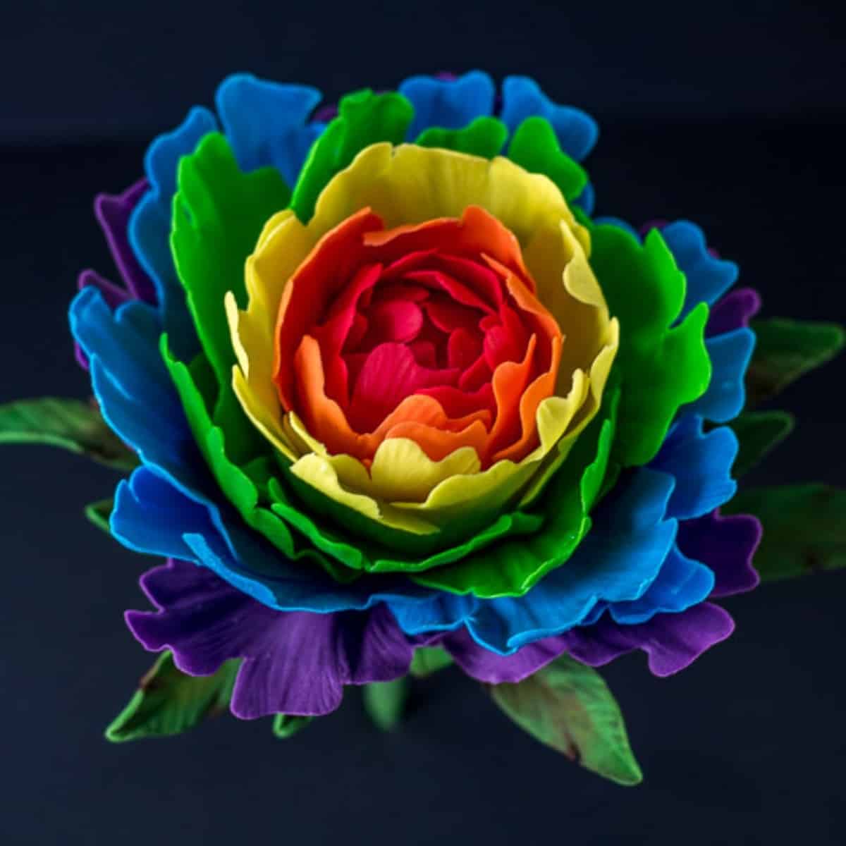 Rainbow Gumpaste Peony Tutorial - I Scream for Buttercream