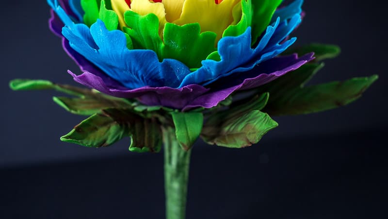 Rainbow Gumpaste Peony Leaves