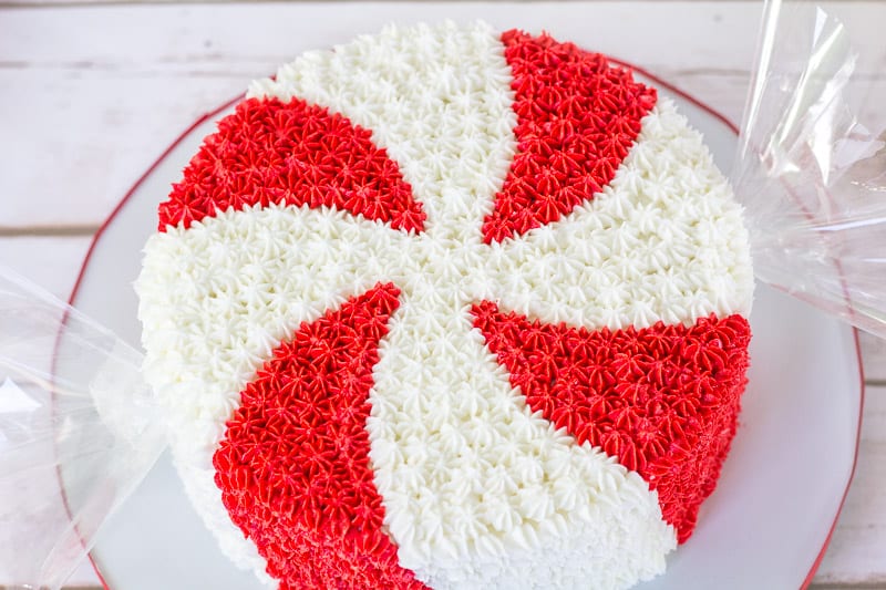 Giant Peppermint Candy Cake on a wood background