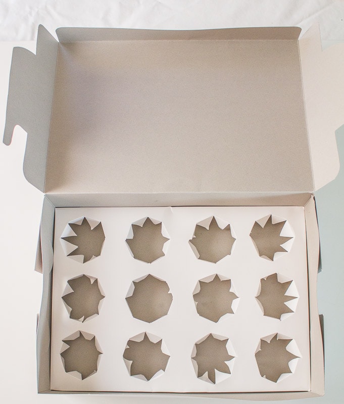 single cupcake box template