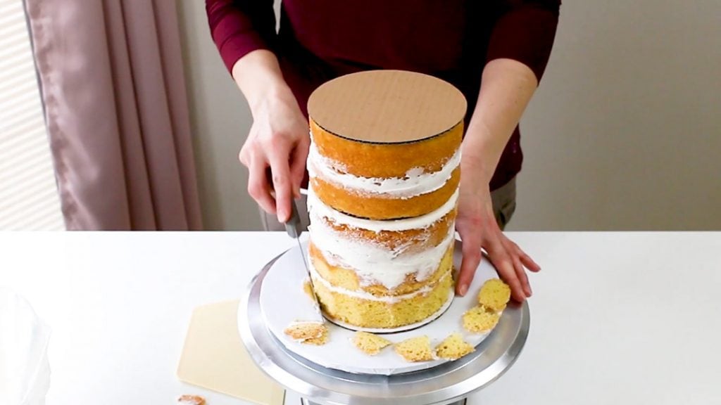 Double Barrel Tall Cake | Shminz