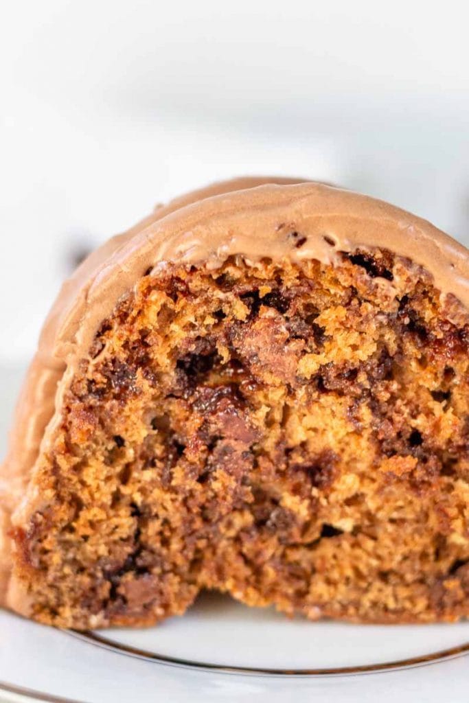 super close up of chocolate chip cake slice on a white plate