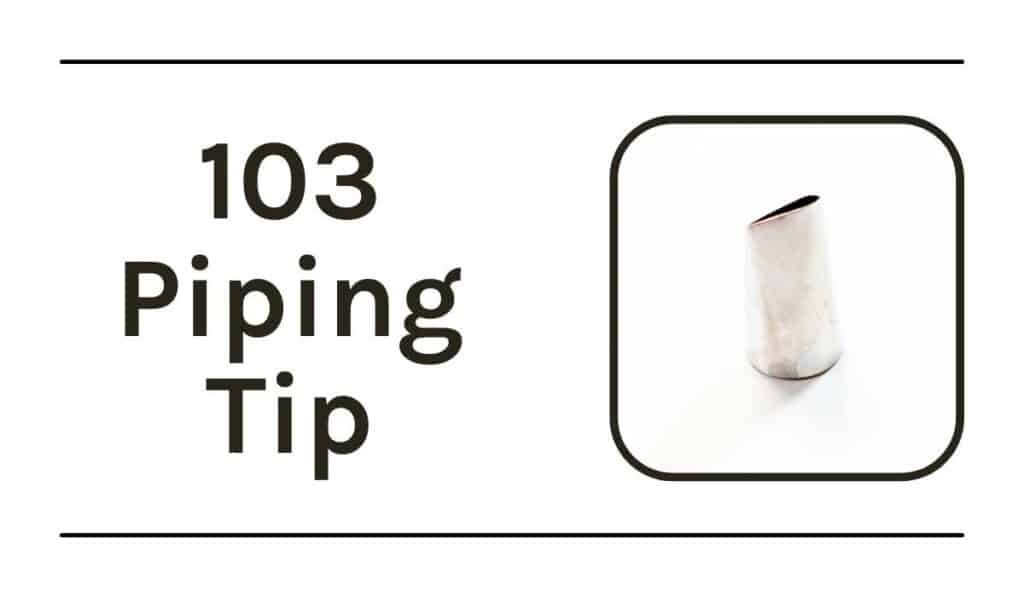 Best Cake and Cupcake Piping Tips & How to Use Them I Scream for