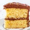 Classic Yellow Cake with Fudge Frosting