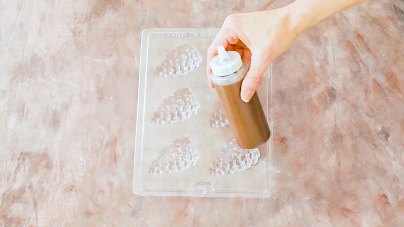 add melted chocolate to a squeeze bottle