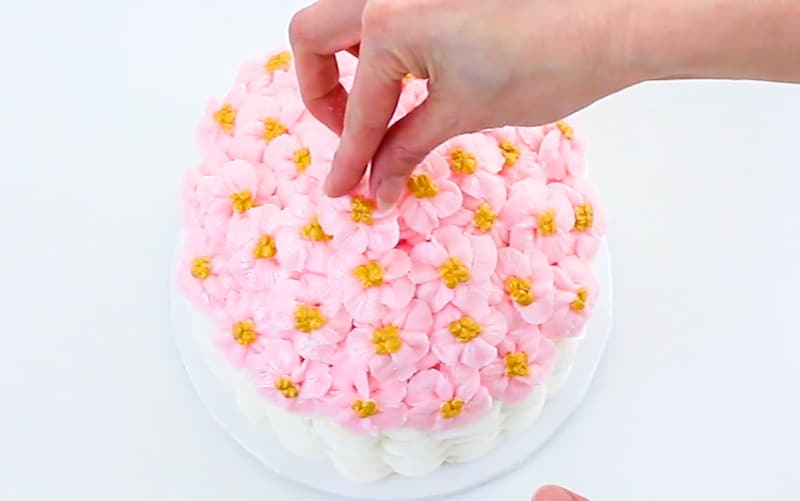 adding apple blossom flowers to the top of cake