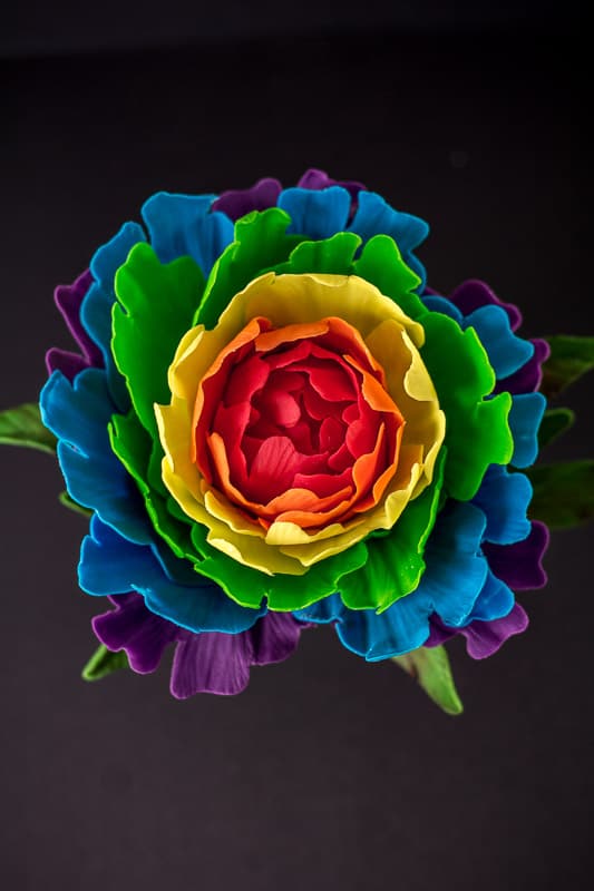 Rainbow Gumpaste Peony