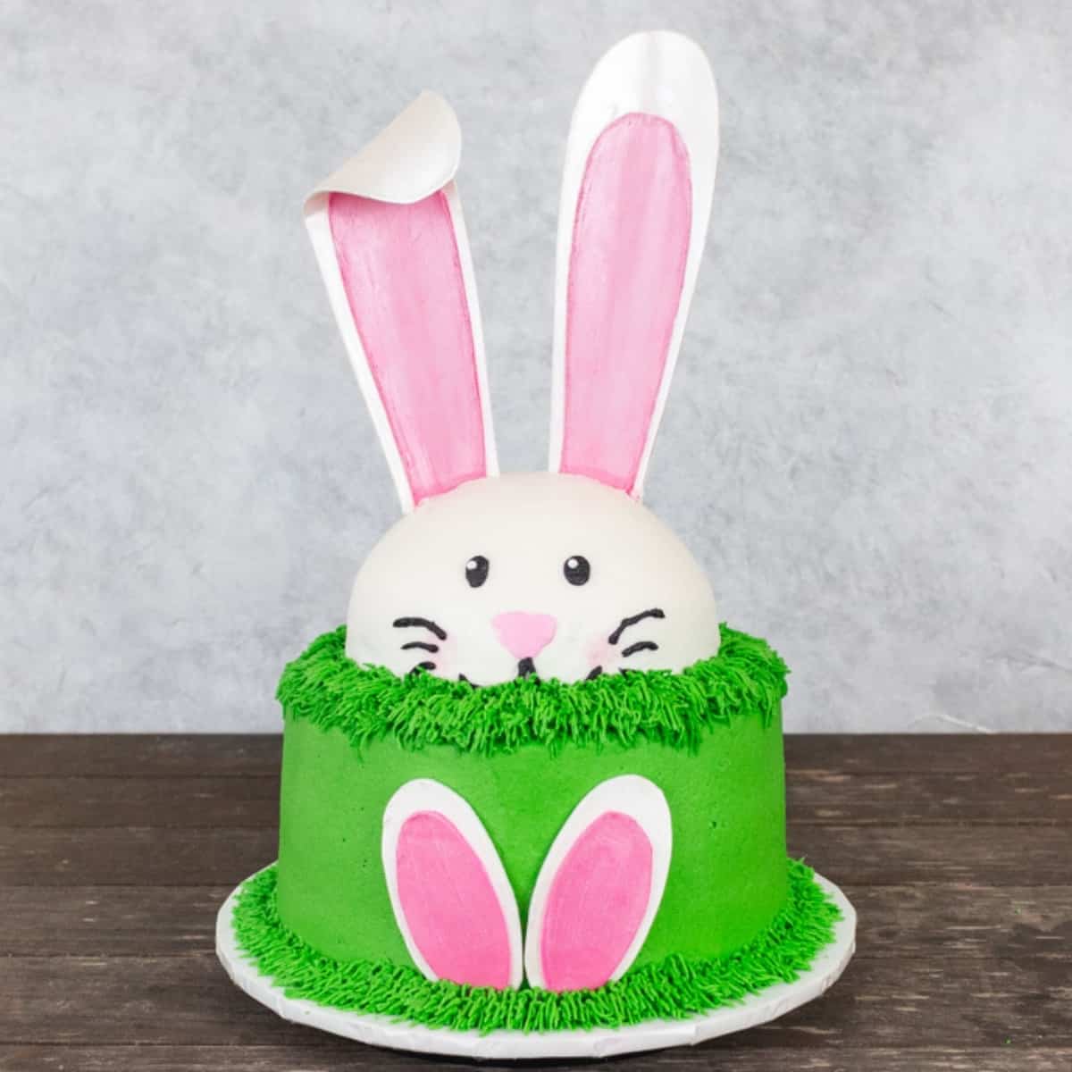 Peter Rabbit Theme Cakes - Quality Cake Company Tamworth