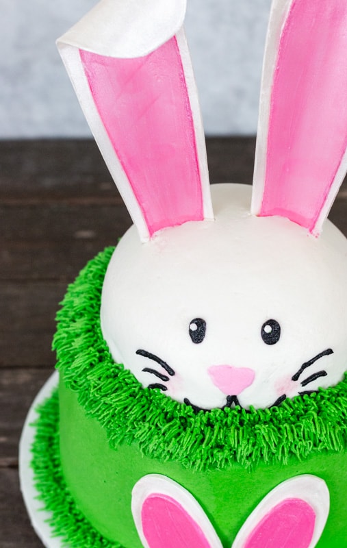 Top down view of bunny cake with tall ears.