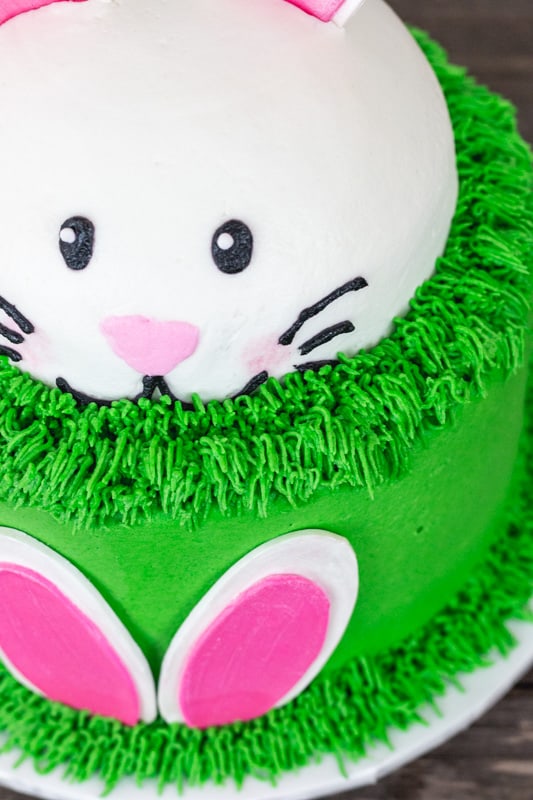 Bunny Ears Cake close up of buttercream grass