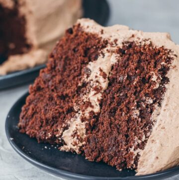 Slice of chocolate cake on a plate