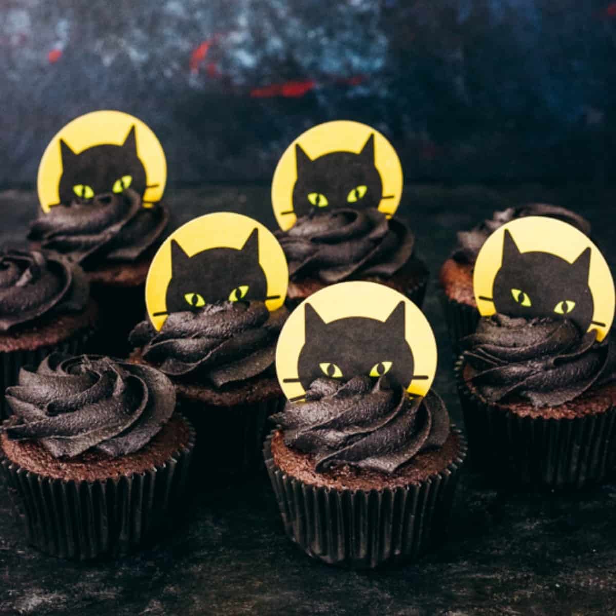 Kitty Cat Cake - ZO&Co.