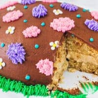 Chocolate Covered Peanut Butter Easter Egg Cake with cut slice