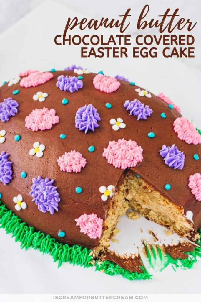 Chocolate Covered Peanut Butter Easter Egg Cake pin graphic