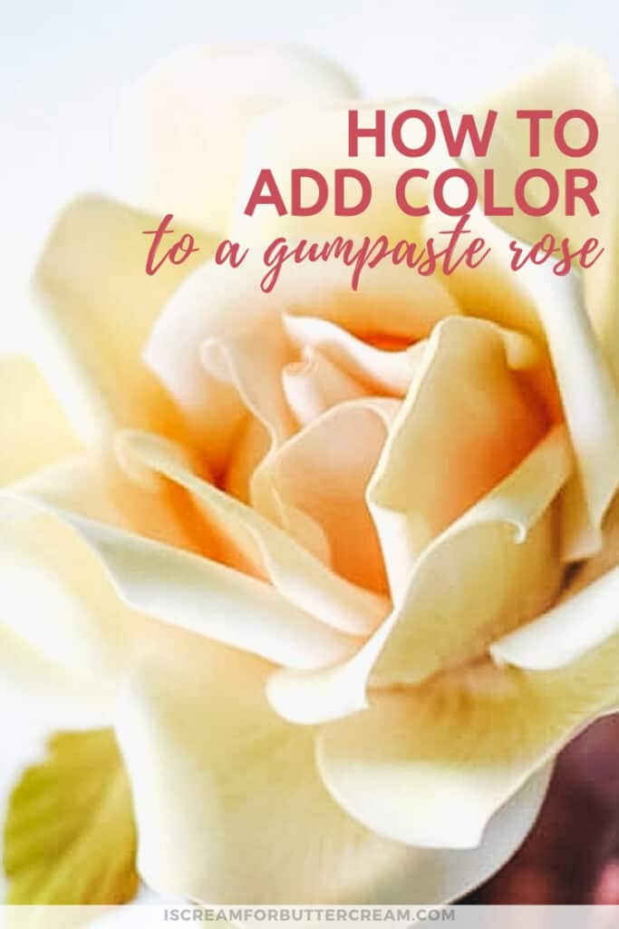 How to Add Color to a Large Gumpaste Rose pin graphic
