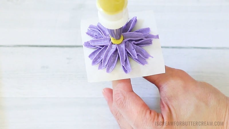Piping yellow center in purple buttercream daisies.