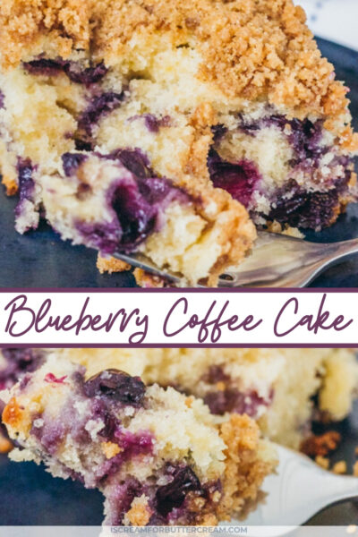 Sour Cream Blueberry Coffee Cake - I Scream for Buttercream