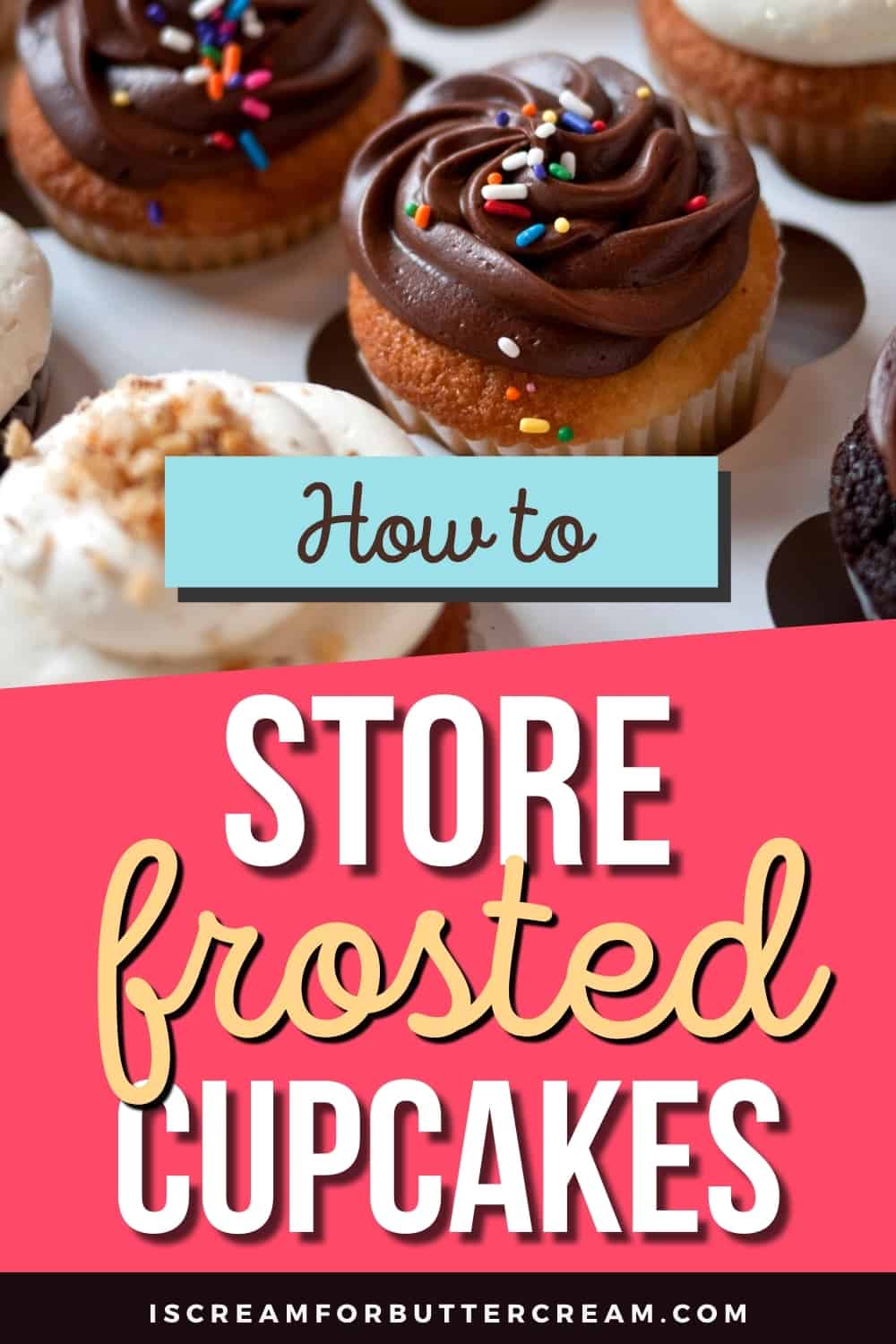 how to store frosted cupcakes pin graphic