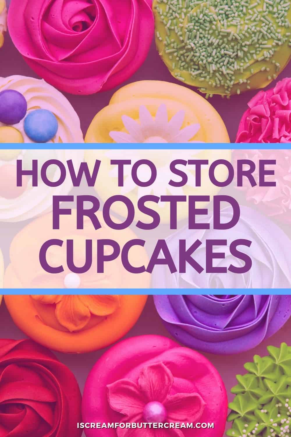 how to store frosted cupcakes pin graphic