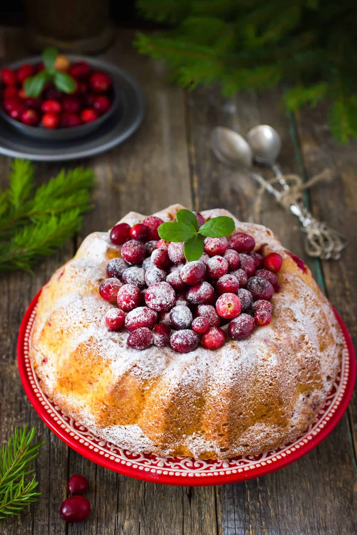 Powdered sugar on a cranberry bundt cake.