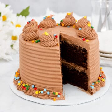 Mini chocolate layer cake with sprinkles.