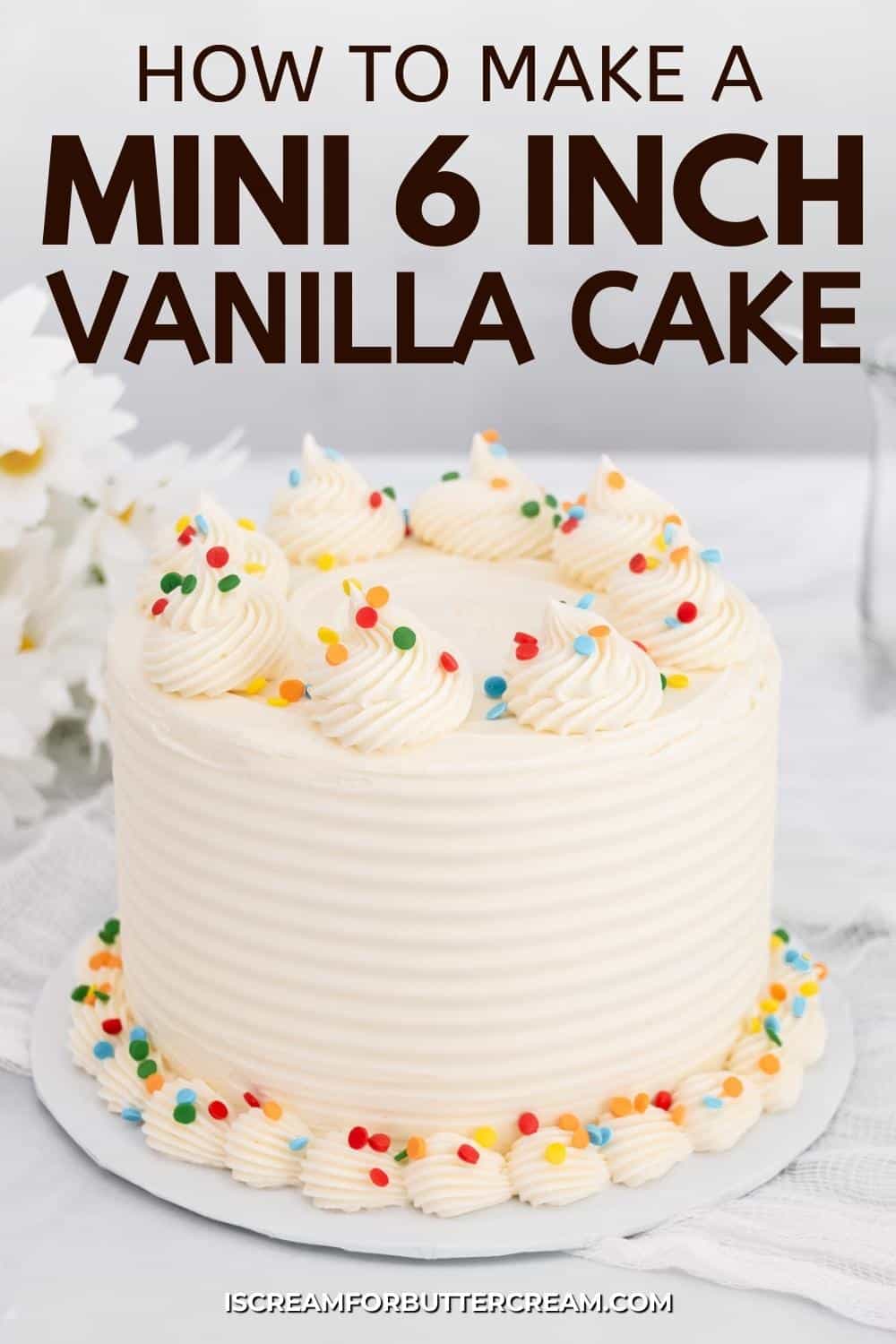 Mini vanilla cake with sprinkles and text overlay.