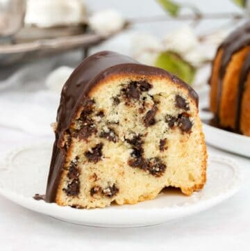 Featured image with close up view of chocolate chip cake.