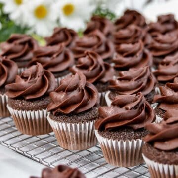 Featured image of chocolate mini cupcakes.