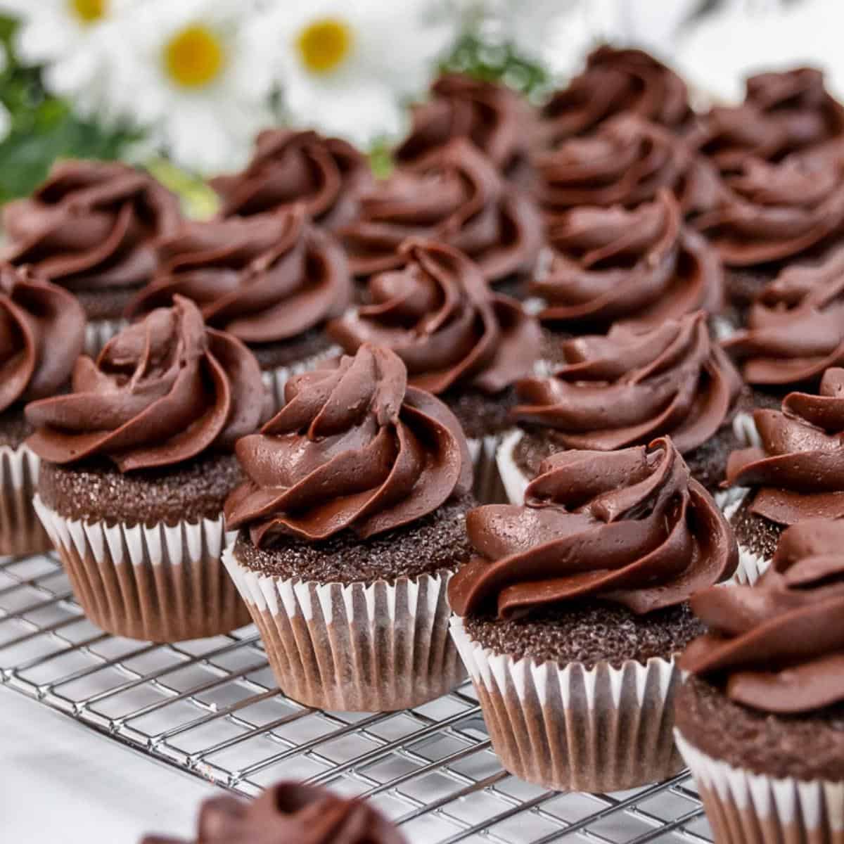 https://iscreamforbuttercream.com/wp-content/uploads/2022/08/mini-chocolate-cupcakes-featured-image.jpg