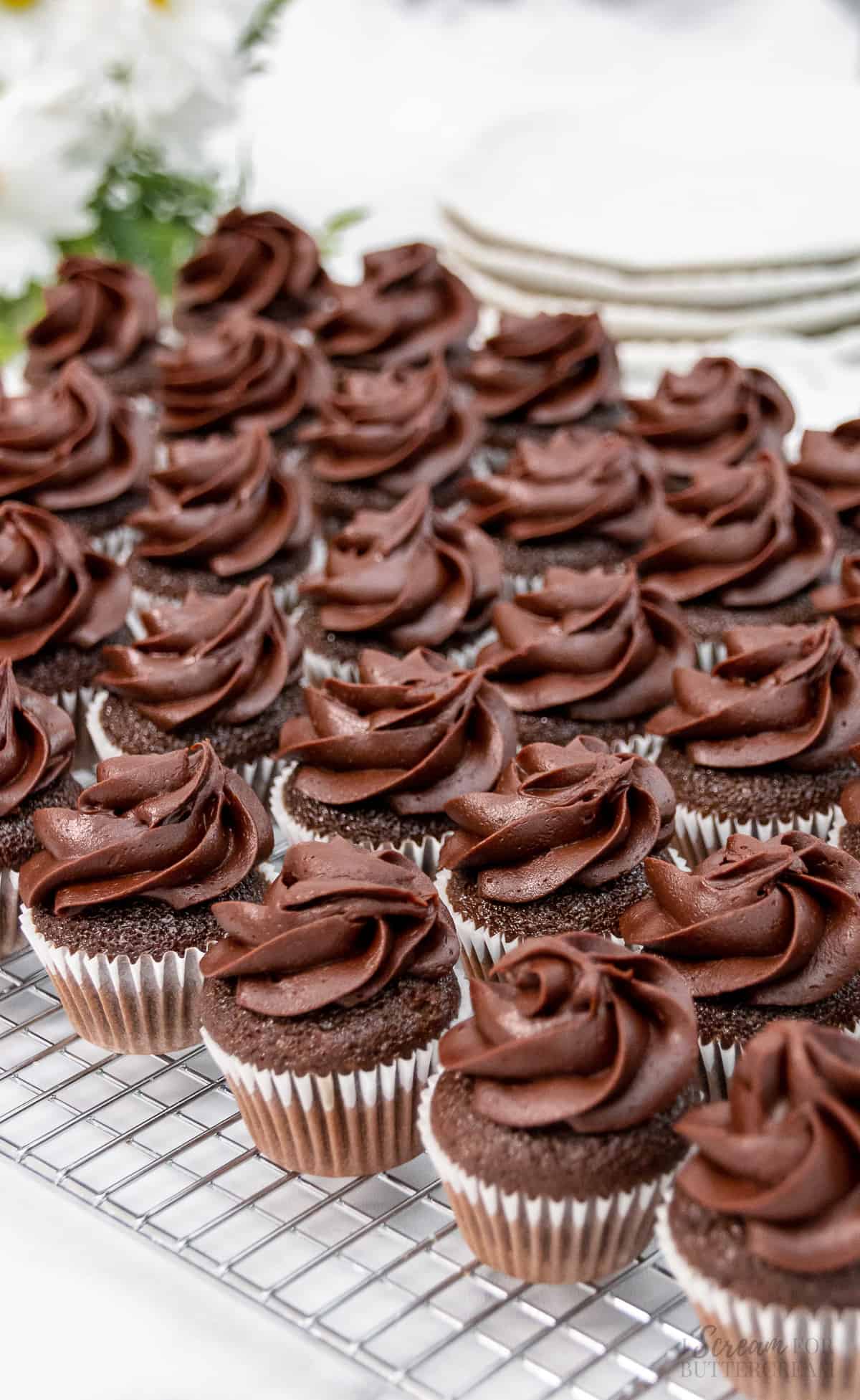 Top view of chocolate mini cupcakes lined up on a cooling rack.