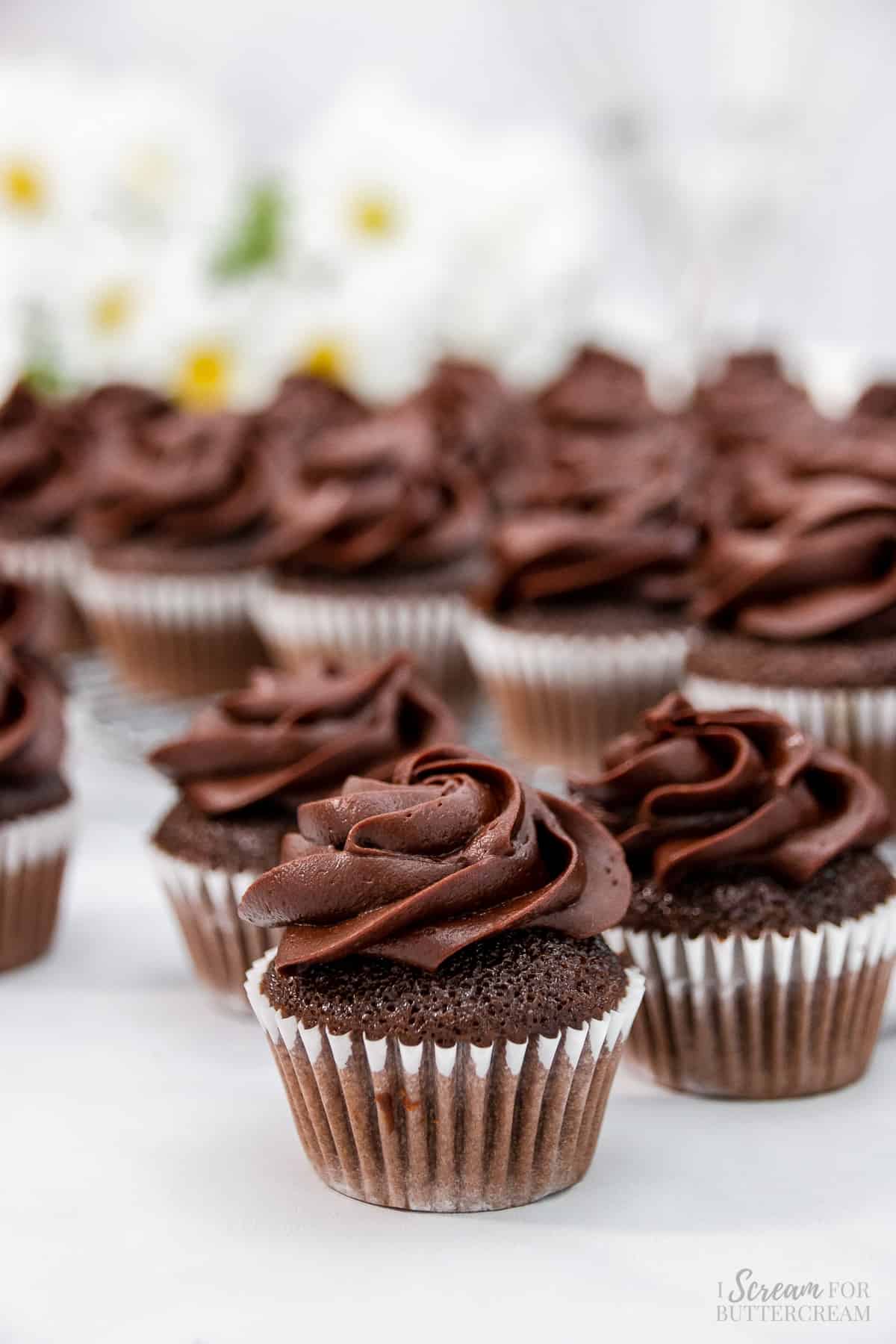 One chocolate cupcake with frosting and cupcakes in the background.