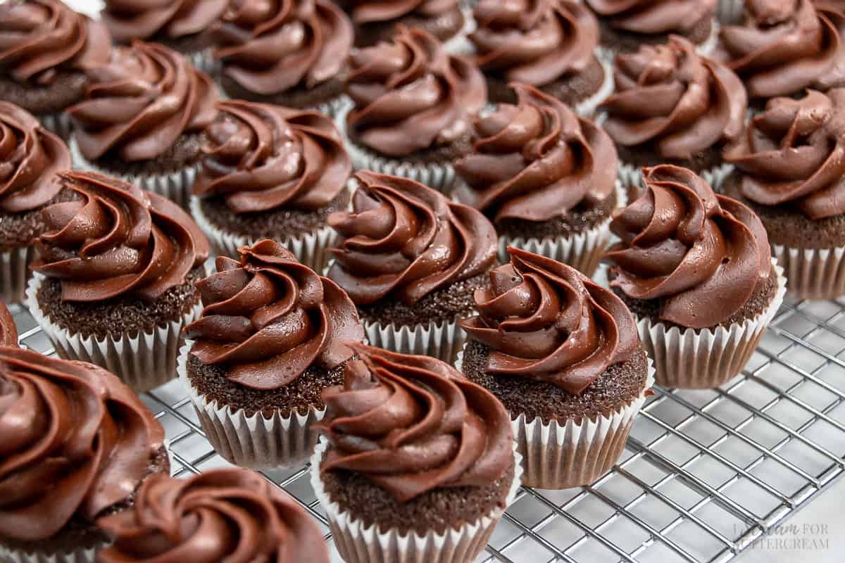 Chocolate Mini Cupcakes (from scratch) - I Scream for Buttercream