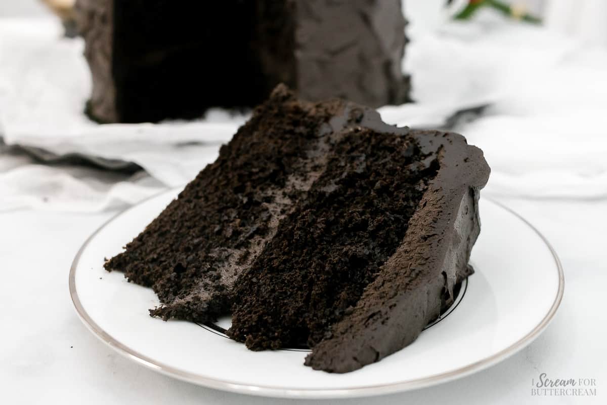 Wide image of sliced layer cake made with dark chocolate on a white plate.