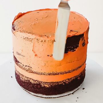 Orange crumb coated chocolate cake.