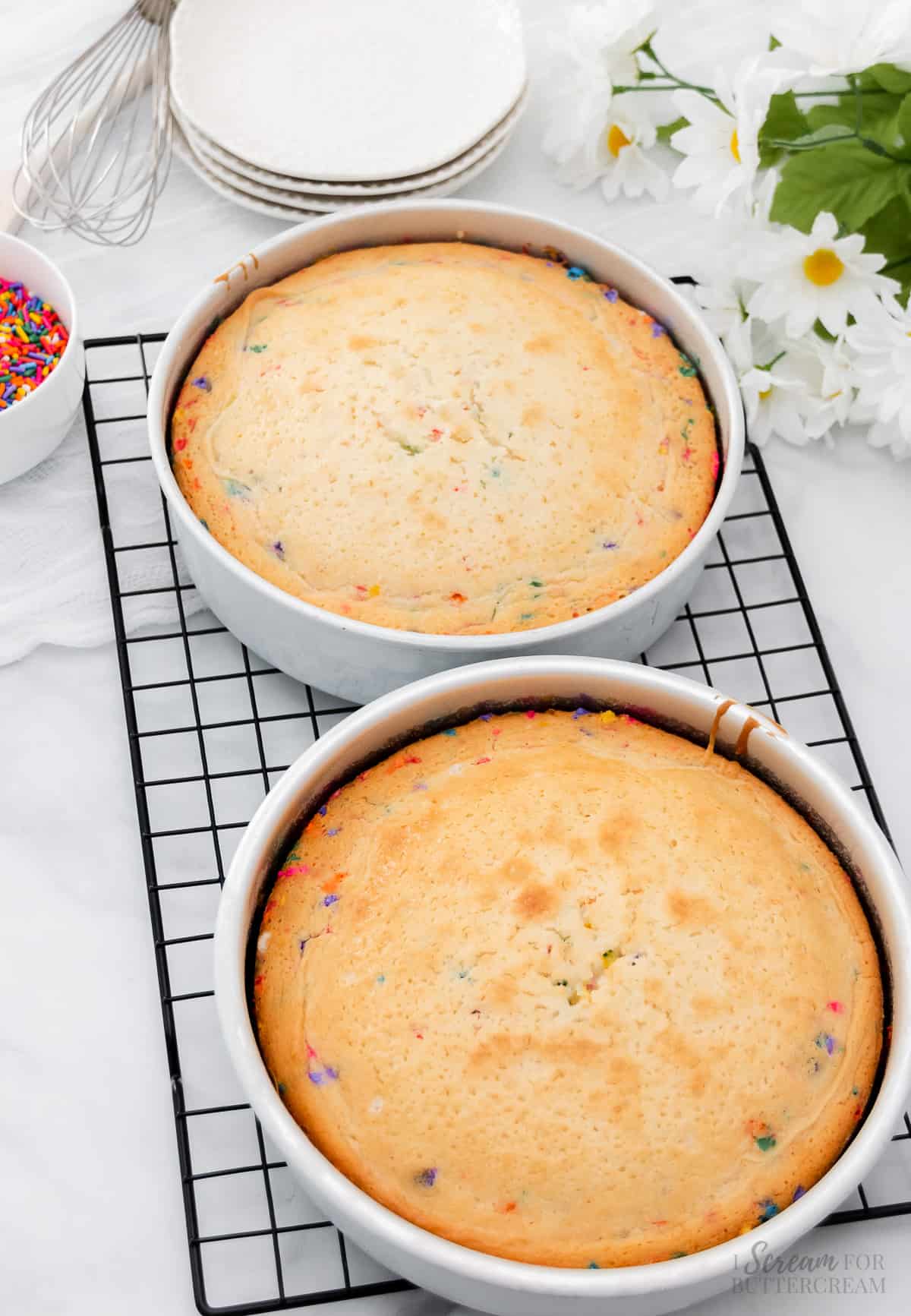 Baked confetti cake layers in pans on a cooling rack.