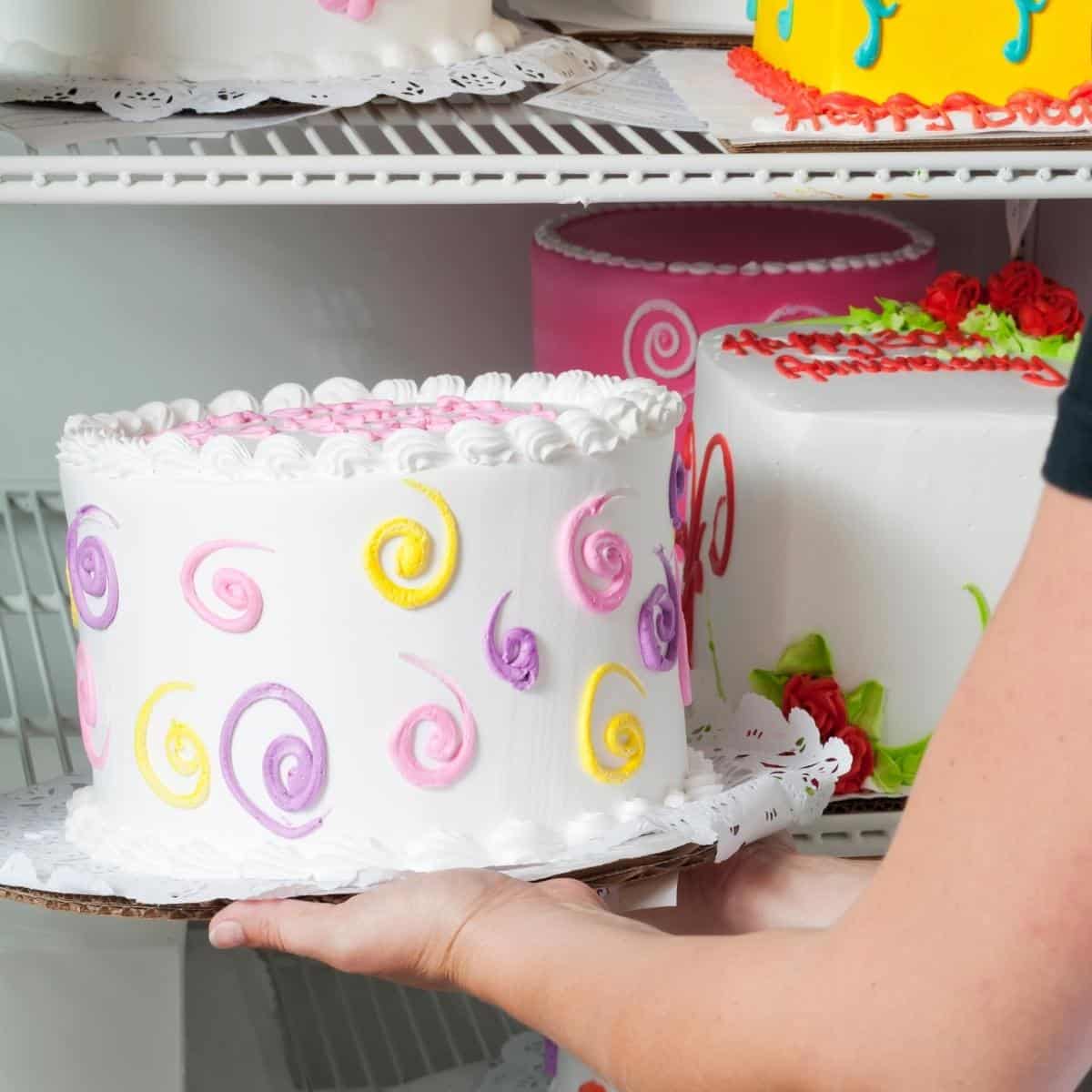 Amazon.co.jp: PP-PIG Cake Box, Portable, Handbag, Airtight Cake Storage  Box, Removable Cover, Reusable, Fruit Vegetable Storage Cake Container (PP  Plastic - Pink, 22x12.5cm) : Home & Kitchen