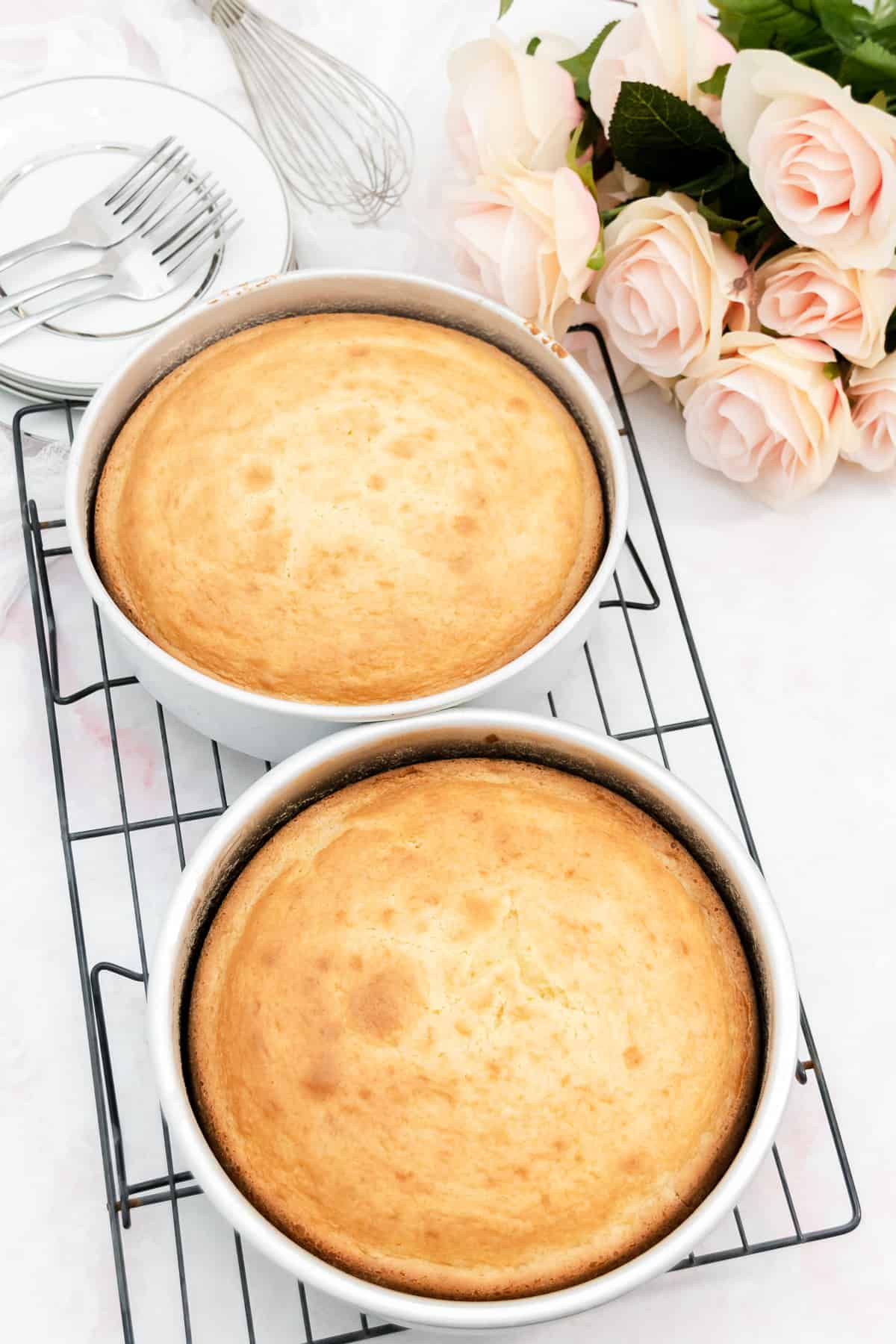 Two baked vanilla cake layers in pans on a cooling rack.