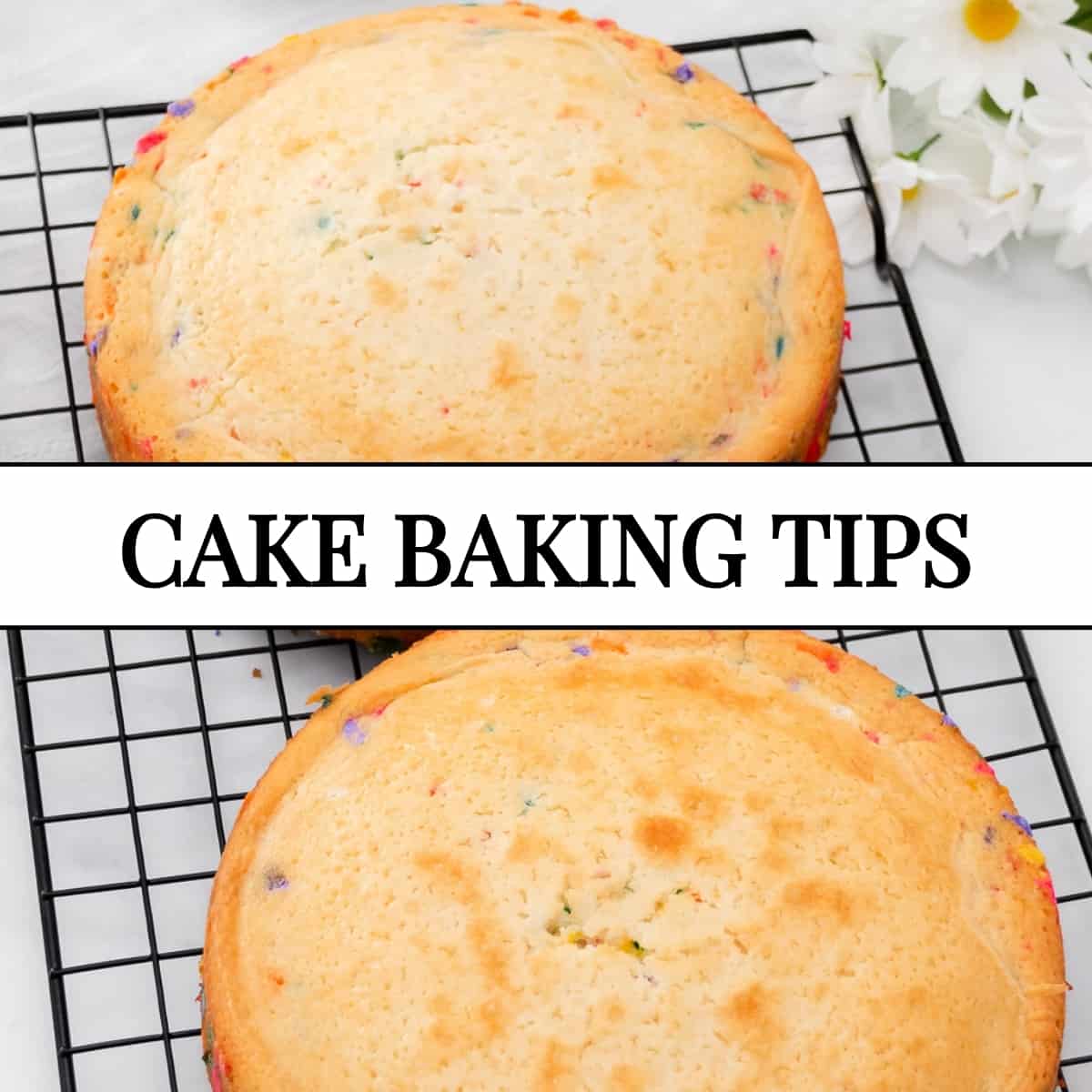 Cake Baking Tips