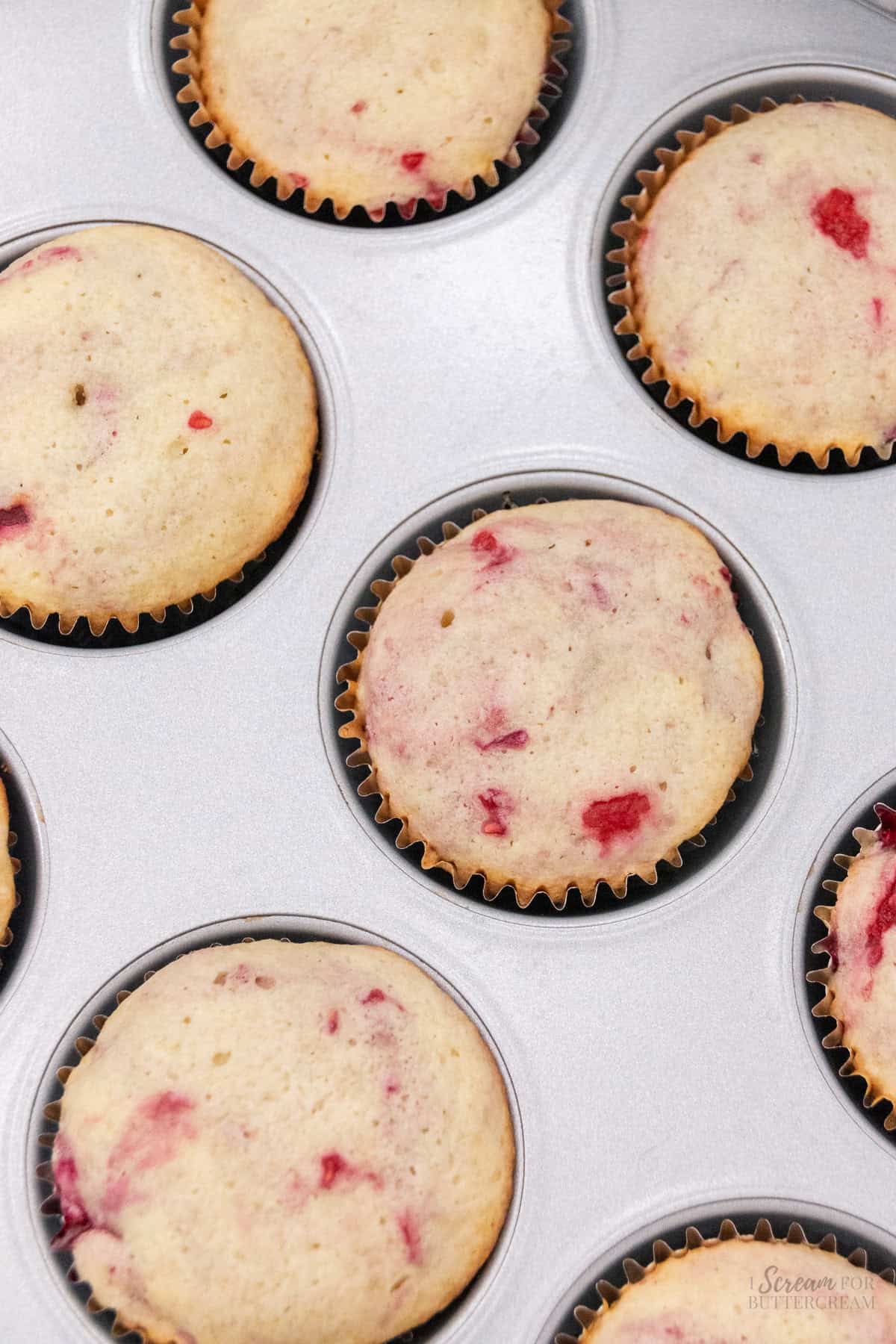 Baked raspberry cupcakes in cupcake liners in a pan.