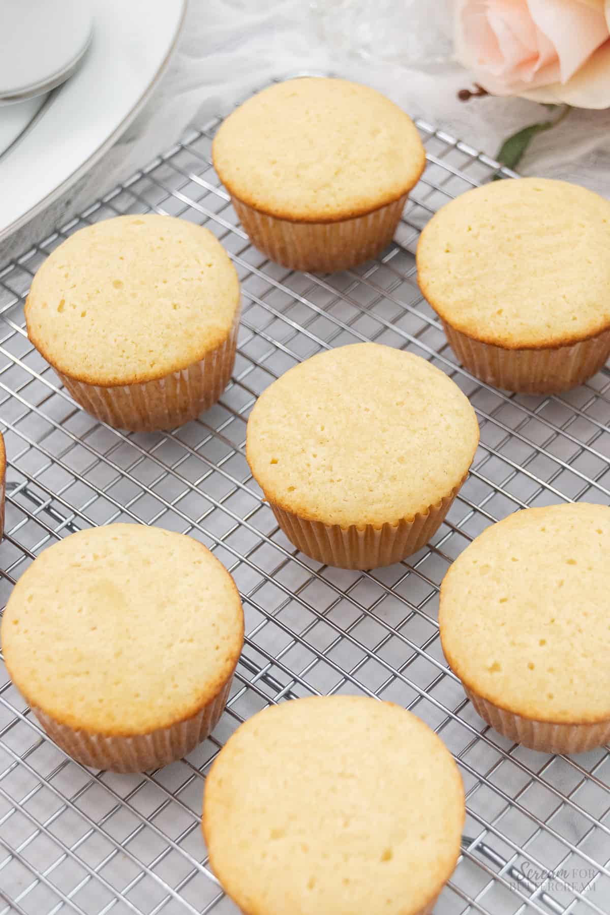 Baked vanilla cupcakes on a cooling rack.